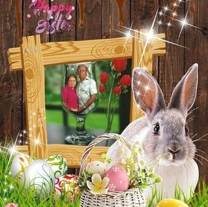 Meet your Posher, Wyca